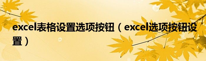 excel表格设置选项按钮（excel选项按钮设置）