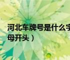 河北车牌号是什么字母开头（河北省各市的车牌各以什么字母开头）