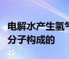 电解水产生氢气和氧气说明水是由氢分子和氧分子构成的