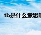 tb是什么意思啊网络用语（tb是什么意思）