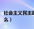 社会主义民主政治的本质（社会主义本质是什么）