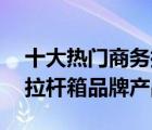 十大热门商务拉杆箱排行榜（精选10款商务拉杆箱品牌产品）