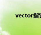 vector指针内存释放（内存释放）