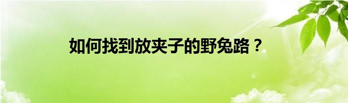 如何找到放夹子的野兔路？