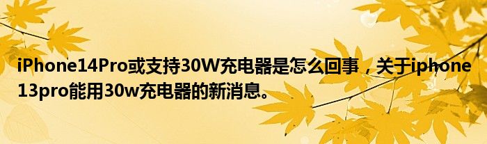 iPhone14Pro或支持30W充电器是怎么回事，关于iphone13pro能用30w充电器的新消息。