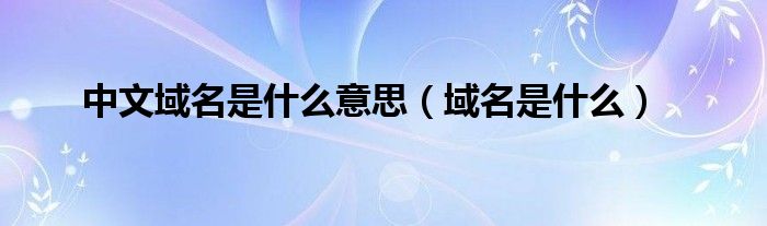 中文域名是什么意思（域名是什么）