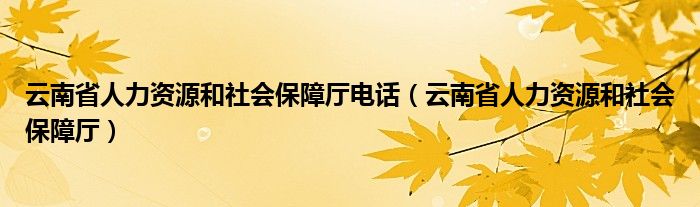 云南省人力资源和社会保障厅电话（云南省人力资源和社会保障厅）