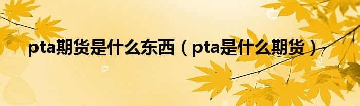 pta期货是什么东西（pta是什么期货）