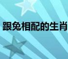 跟兔相配的生肖是什么（兔与什么生肖相配）