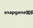 snapgene如何设计引物（如何设计引物）