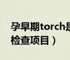 孕早期torch是什么检查项目（torch是什么检查项目）