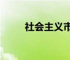 社会主义市场经济的重要组成部分