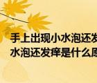 手上出现小水泡还发痒是什么原因涂抹什么药（手上出现小水泡还发痒是什么原因）