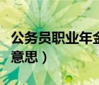 公务员职业年金是什么意思（职业年金是什么意思）