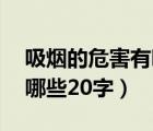 吸烟的危害有哪些20字描述（吸烟的危害有哪些20字）