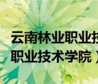 云南林业职业技术学院专业有哪些（云南林业职业技术学院）