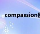 compassion是什么意思（compassion）