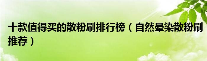 十款值得买的散粉刷排行榜（自然晕染散粉刷推荐）