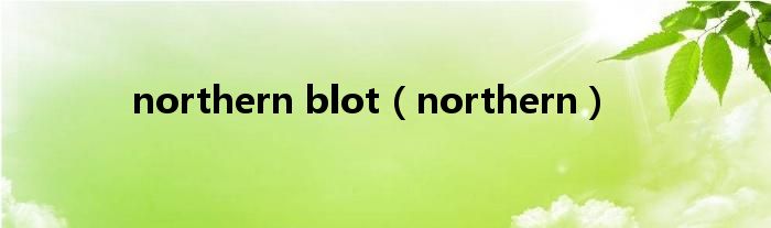 northern blot（northern）