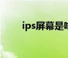 ips屏幕是啥（ips屏幕是什么意思）