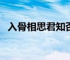 入骨相思君知否苏瑾余（入骨相思君知否）