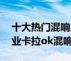 十大热门混响品牌产品排行榜（精选10款专业卡拉ok混响器）