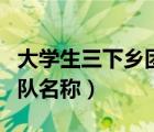 大学生三下乡团队名称大全（大学生三下乡团队名称）