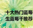 十大热门蓝莓干排行榜（精选10款无添加野生蓝莓干推荐）