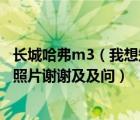 长城哈弗m3（我想知道长城M3到底是哪款车形请告知并附照片谢谢及及问）