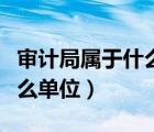 审计局属于什么单位经济类型（审计局属于什么单位）