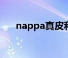 nappa真皮和真皮区别（nappa真皮）