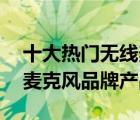 十大热门无线麦克风排行榜（精选10款无线麦克风品牌产品）