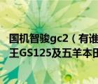 国机智骏gc2（有谁知道及铃木骏威GSX125及3C3B及铃木王GS125及五羊本田统御锋翔）