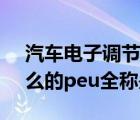 汽车电子调节器（汽车电子PEU车间是做什么的peu全称是什么）