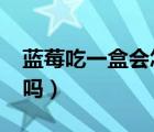 蓝莓吃一盒会怎么样（蓝莓一次吃125g会死吗）