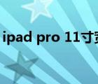 ipad pro 11寸宽度（11英寸ipad pro长宽）