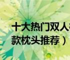 十大热门双人枕头排行榜（精选10款双人长款枕头推荐）