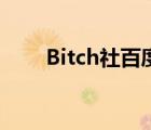 Bitch社百度云（bitch社一共几集）