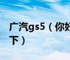 广汽gs5（你好广汽GS5怎样的大哥给分析一下）