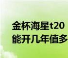 金杯海星t20（07年的金杯海狮20万公里还能开几年值多少钱）