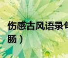 伤感古风语录句句断肠（伤感古风句子句句断肠）