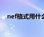 nef格式用什么打开（nef格式怎么打开）