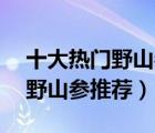 十大热门野山参排行榜（精选10款东北特产野山参推荐）