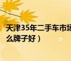 天津35年二手车市场（家用电动小汽车3到5万电动小汽车什么牌子好）