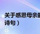 关于感恩母亲的诗句和名言（关于感恩母亲的诗句）