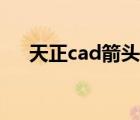 天正cad箭头怎么画（cad箭头怎么画）