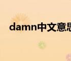 damn中文意思（damn口语是什么意思）