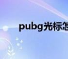 pubg光标怎么设置（光标怎么设置）