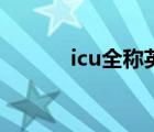 icu全称英文怎么读（icu全称）