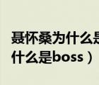 聂怀桑为什么是十六年后复活魏婴（聂怀桑为什么是boss）